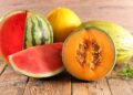 Consejos OCU elegir melones y sandías./ Foto de Canva