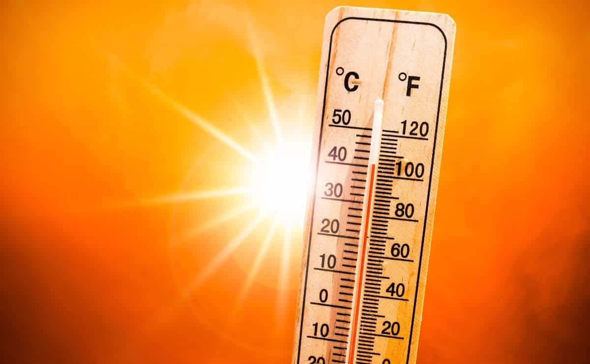 Consejos de la Seguridad Social para afrontar una ola de calor