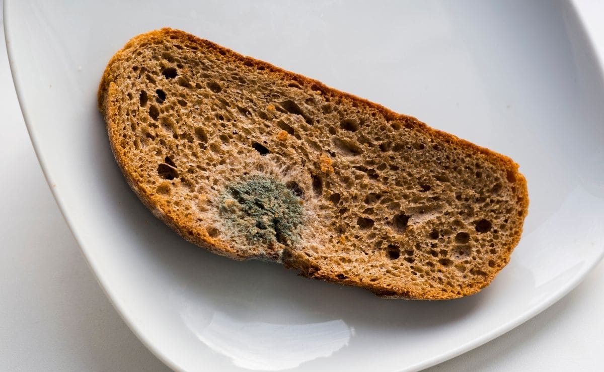 Pan con moho