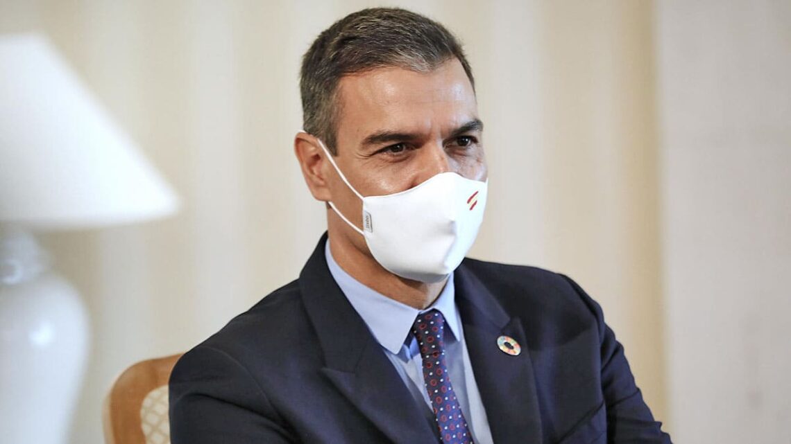 pedro sánchez ayudas