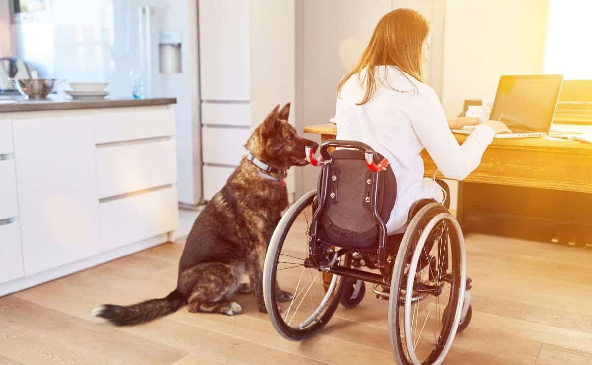 Pensión por discapacidad de la Seguridad Social./ Foto de Canva