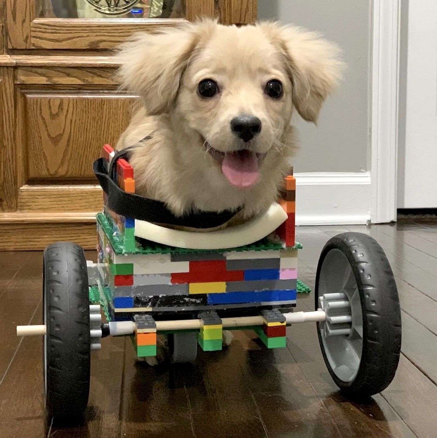 Perrita con la silla de ruedas de lego