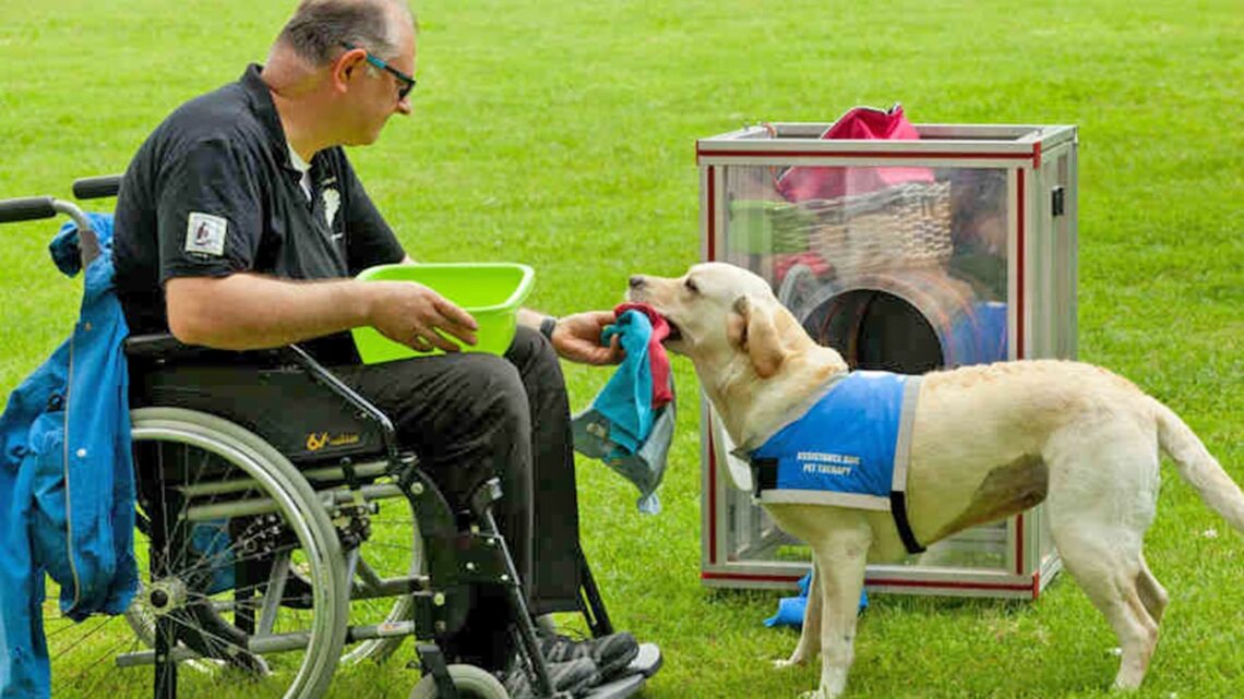 Rehabilitación animales