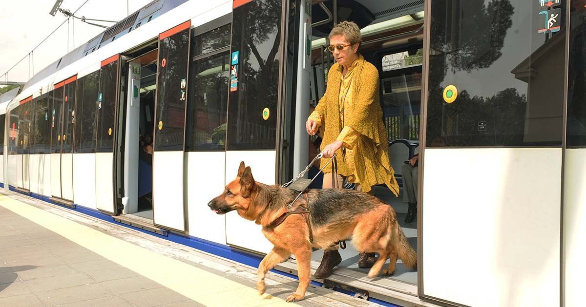 Persona ciega con perro guía