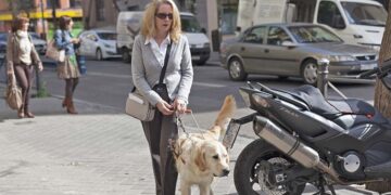 Persona ciega o con discapacidad visual y con perro guía