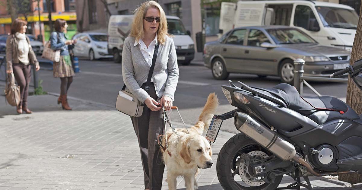 Persona ciega con perro guía