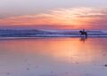 Playa de El Palmar (Cádiz)