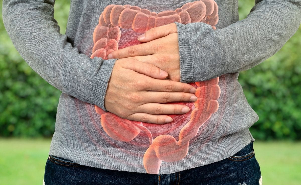 Probióticos intestinos