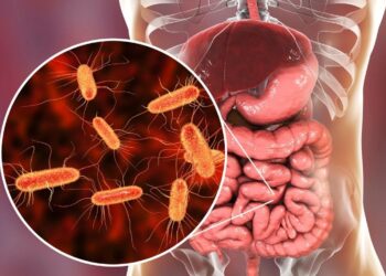 Así ayuda el vinagre de manzana, un probiótico, a regenerar la flora intestinal