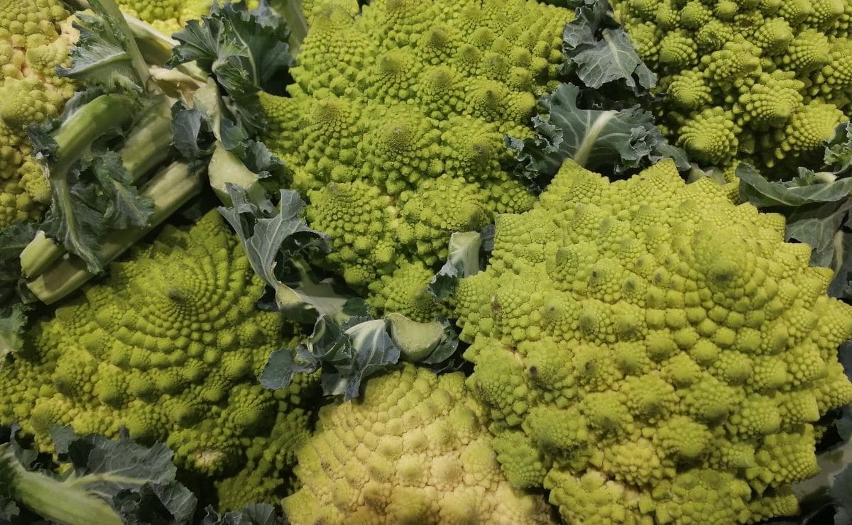 Romanesco