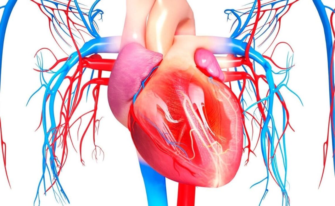 presión arterial superaimento corazón