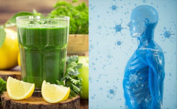 Smoothie sistema inmunitario