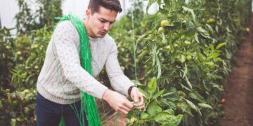 Subsidio agrario./ Foto de Canva