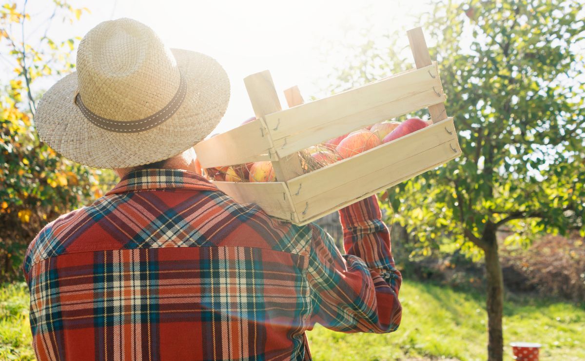 Subsidio agrícola./ Foto de Canva