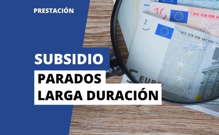 Subsidio desempleados larga duracion