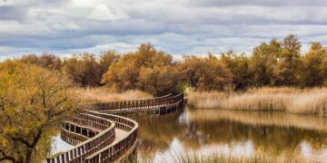 Tablas de Daimiel, lugar que se visitará en 'La Ruta del Quijote' de Viajes El Corte Inglés