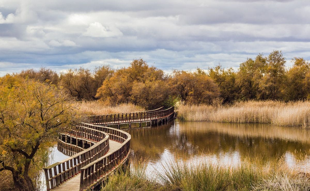 Tablas de Daimiel, lugar que se visitará en 'La Ruta del Quijote' de Viajes El Corte Inglés