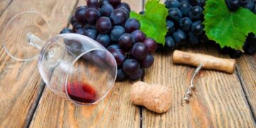Taninos uvas antioxidante