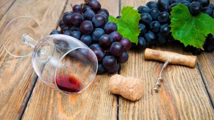 Taninos uvas antioxidante