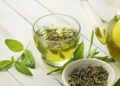 Té verde antioxidante