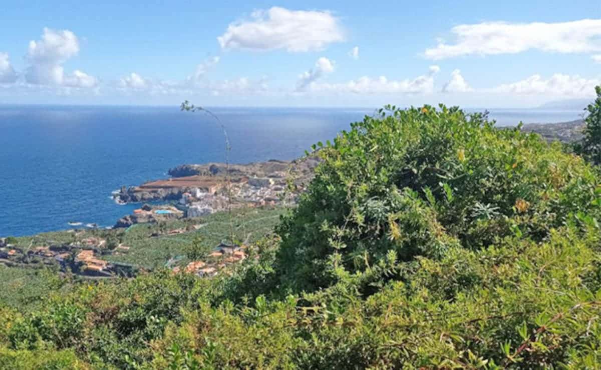 Terreno para construir una casa./ Foto de Canva