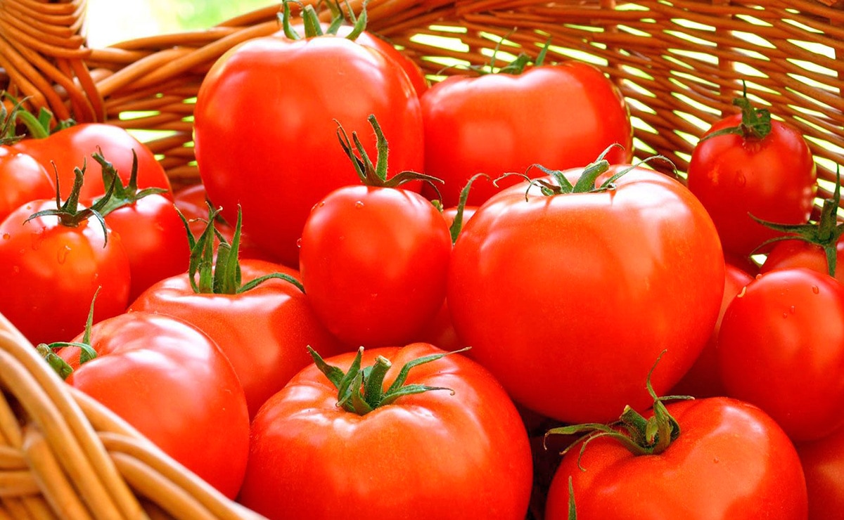 Tomates antioxidante