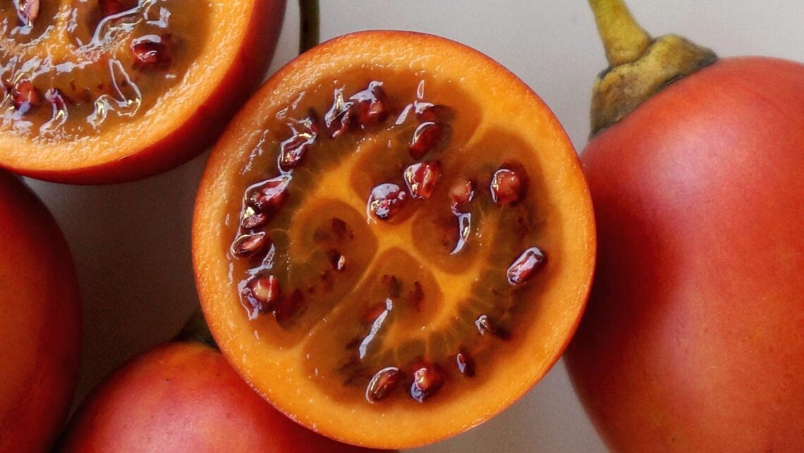 Tomate de árbol Solanum betaceum
