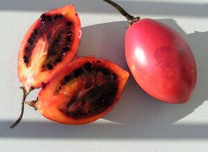 jugo tomate de arbol