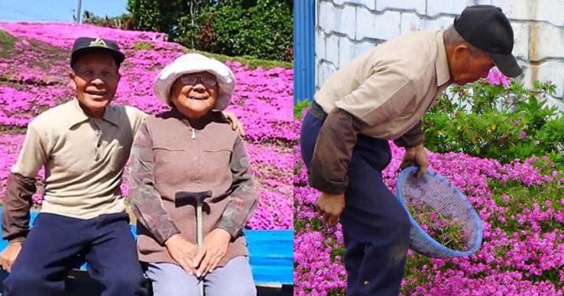 Un Hombre plantó miles de flores para su esposa ciega