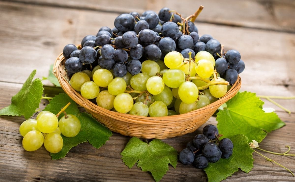 Uvas