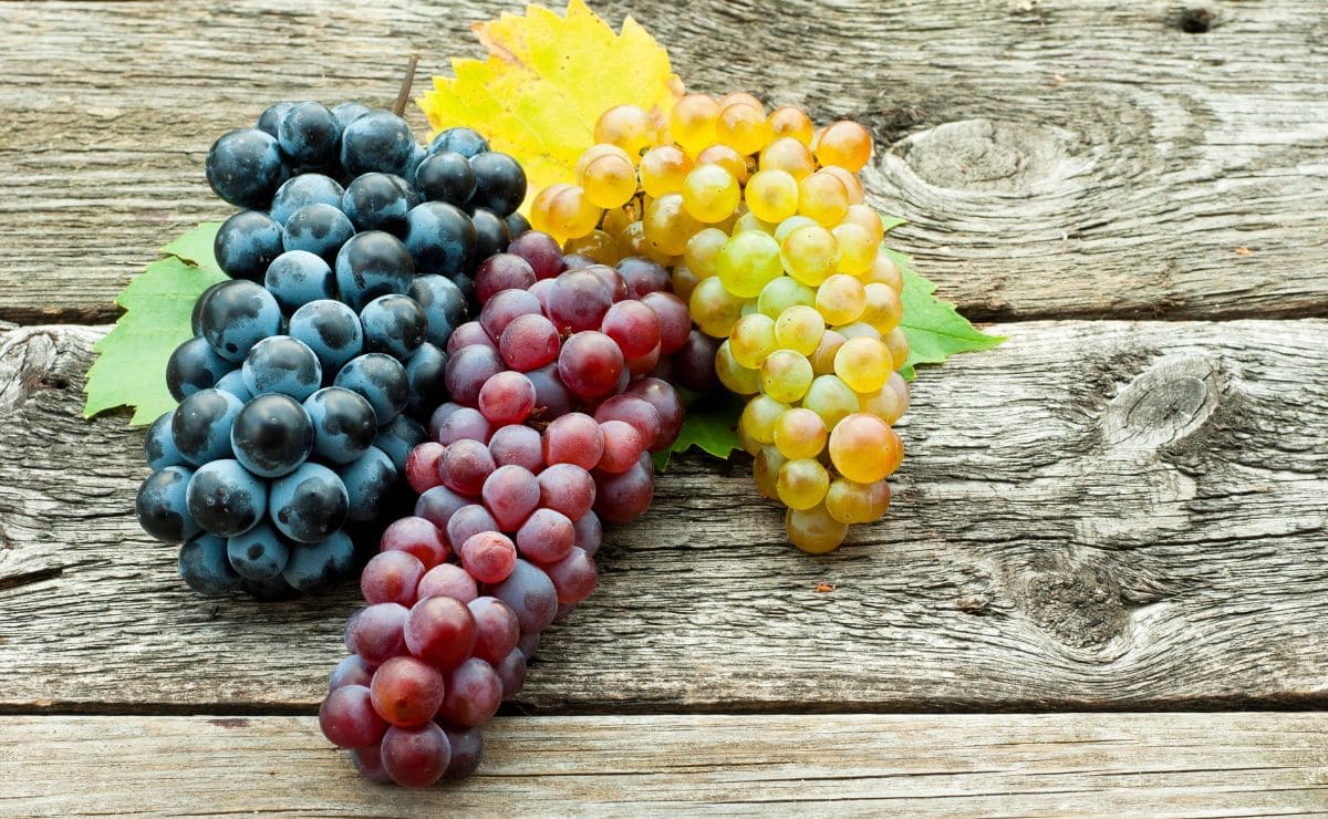 Beneficios de comer uvas en fin de año./ Foto de Canva