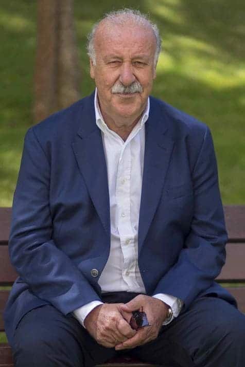 Vicente del Bosque