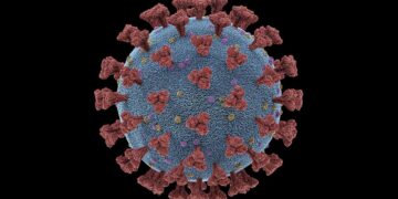 Virus coronavirus Covid19