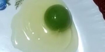 Yema de huevo verde