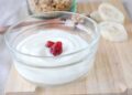 Yogur natural probióticos