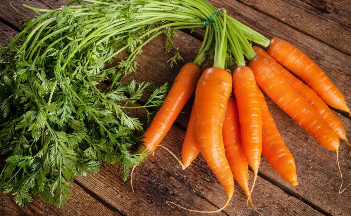 Zanahoria Carrot