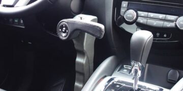 Imagen FA1 de Guidosimplex