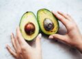 Cuidado con las manchas negras del aguacate