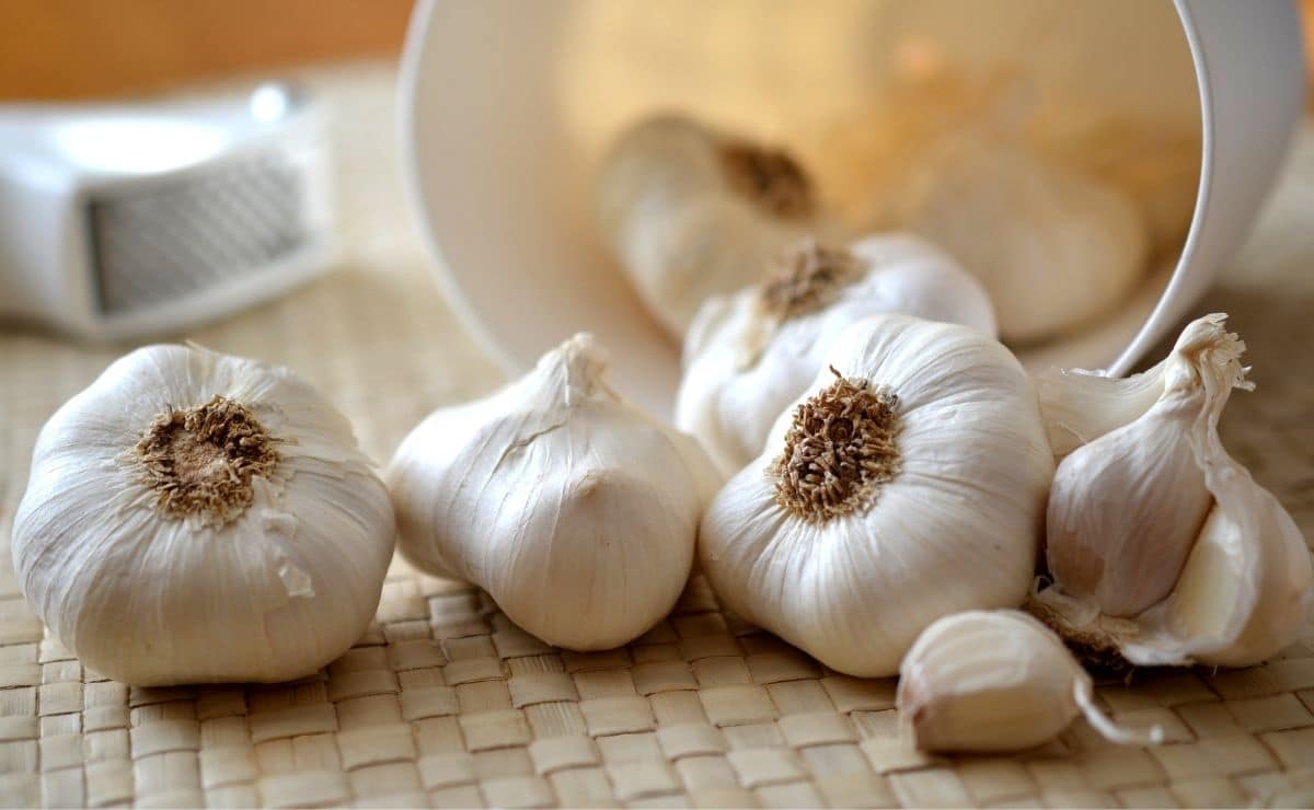 ajo alimento comida dieta organismo propiedades salud comer