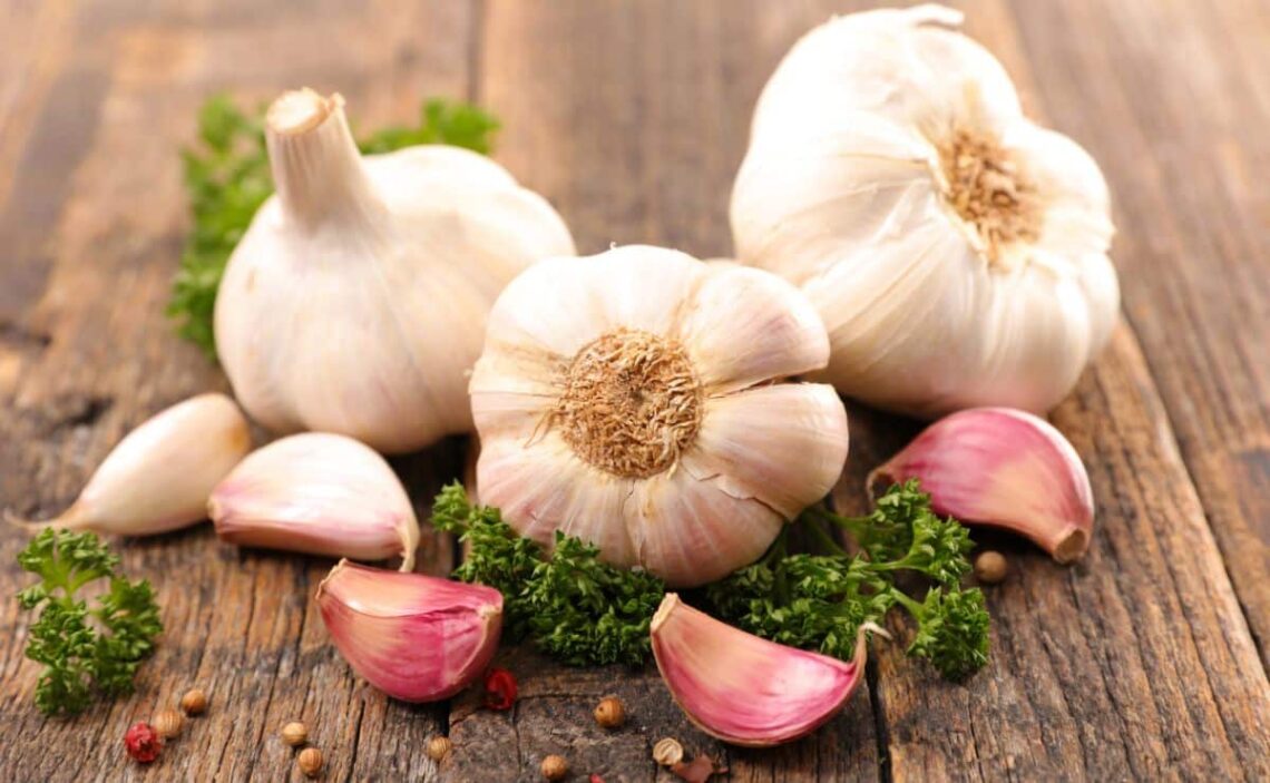 ajo alimento consumo bienestar comida abuso