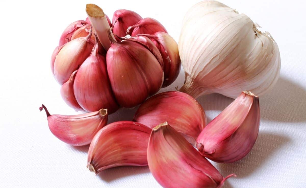 ajo alimento presión sanguínea circulación sangre corazón vasos sanguíneos dieta