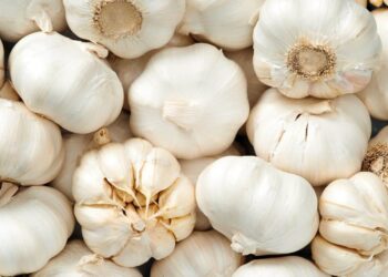 ajo comida condimento alimento diario organismo