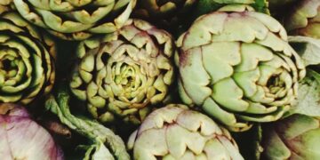 Comer alcachofas aumenta la salud cardiovascular
