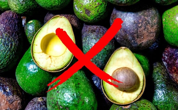 alerta aguacates pesticidas prohibidos Europa