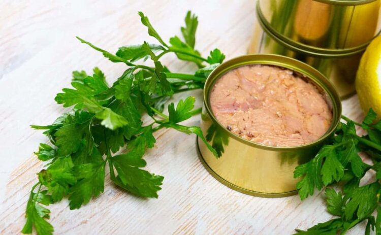 Qué es mejor atún en aceite o al natural