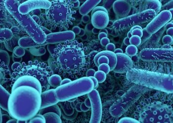 alimento intestino salud organismo célula flora intestinal microbiota tracto digestión