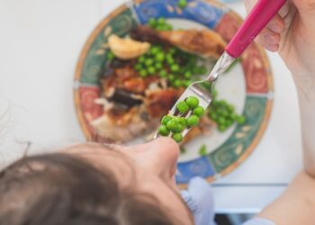 legumbre alimento dieta