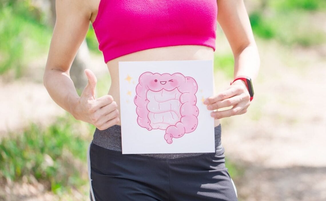 alimentos prebioticos flora intestinal