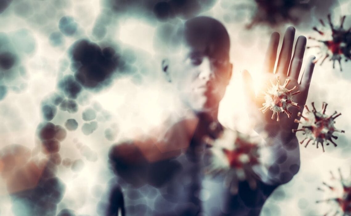 alimentos prevenir cancer