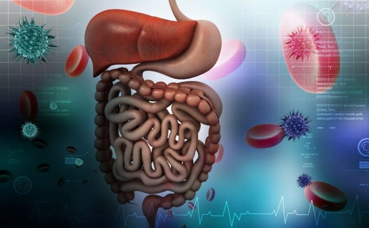 5 alimentos que pueden ralentizar tu metabolismo